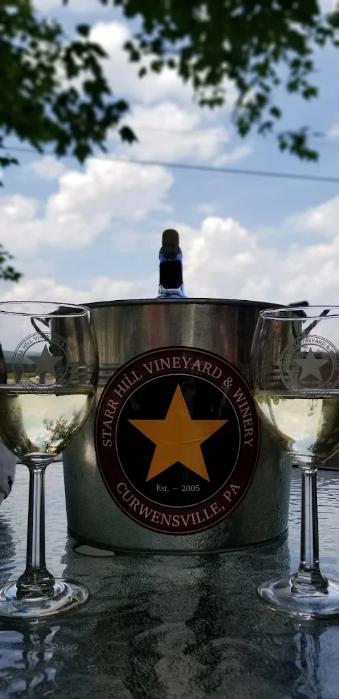 Starr Hill Vineyard branded ice bucket with wine glasses