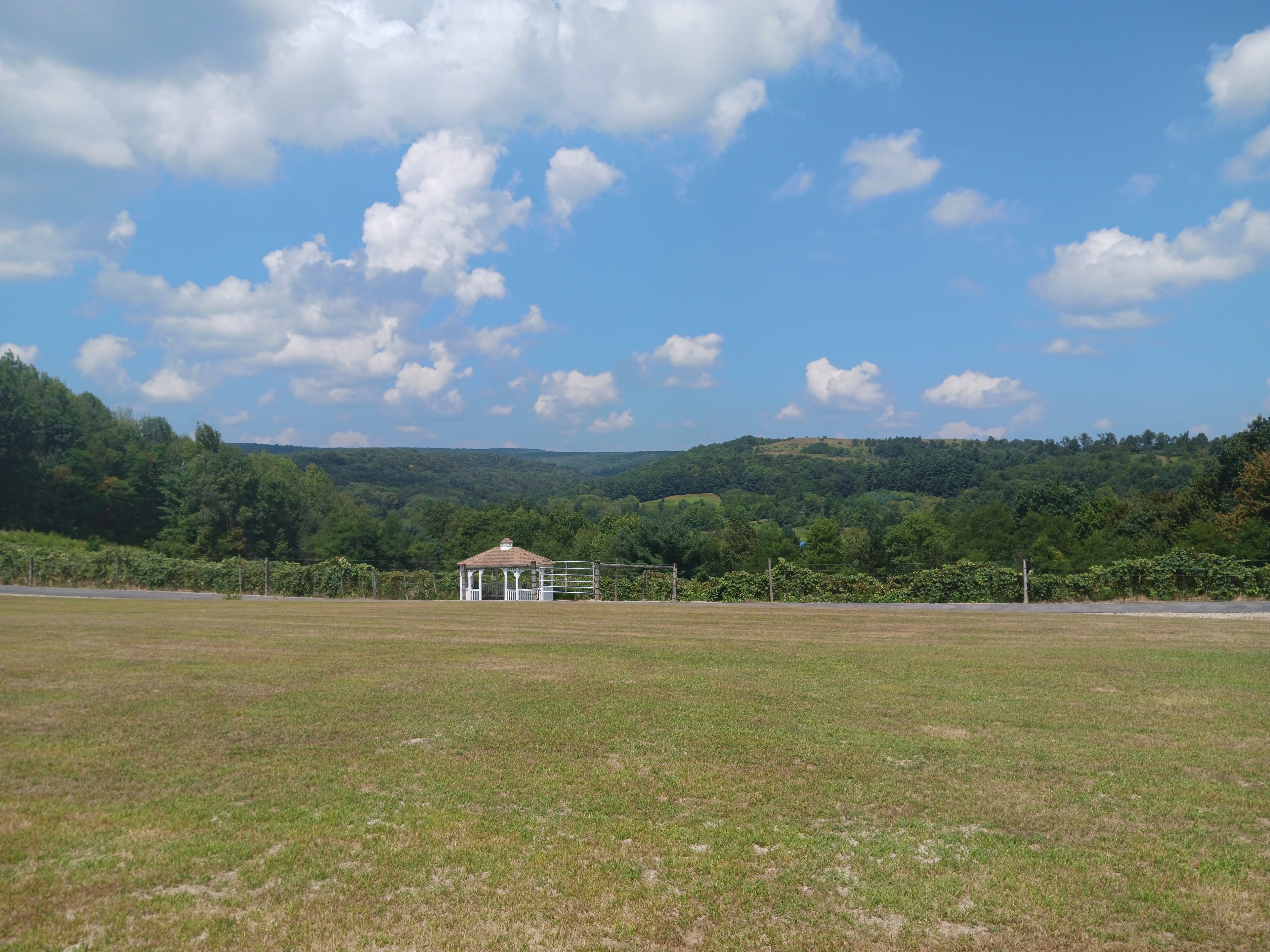Starr Hill Vineyard gazebo and grounds in summer