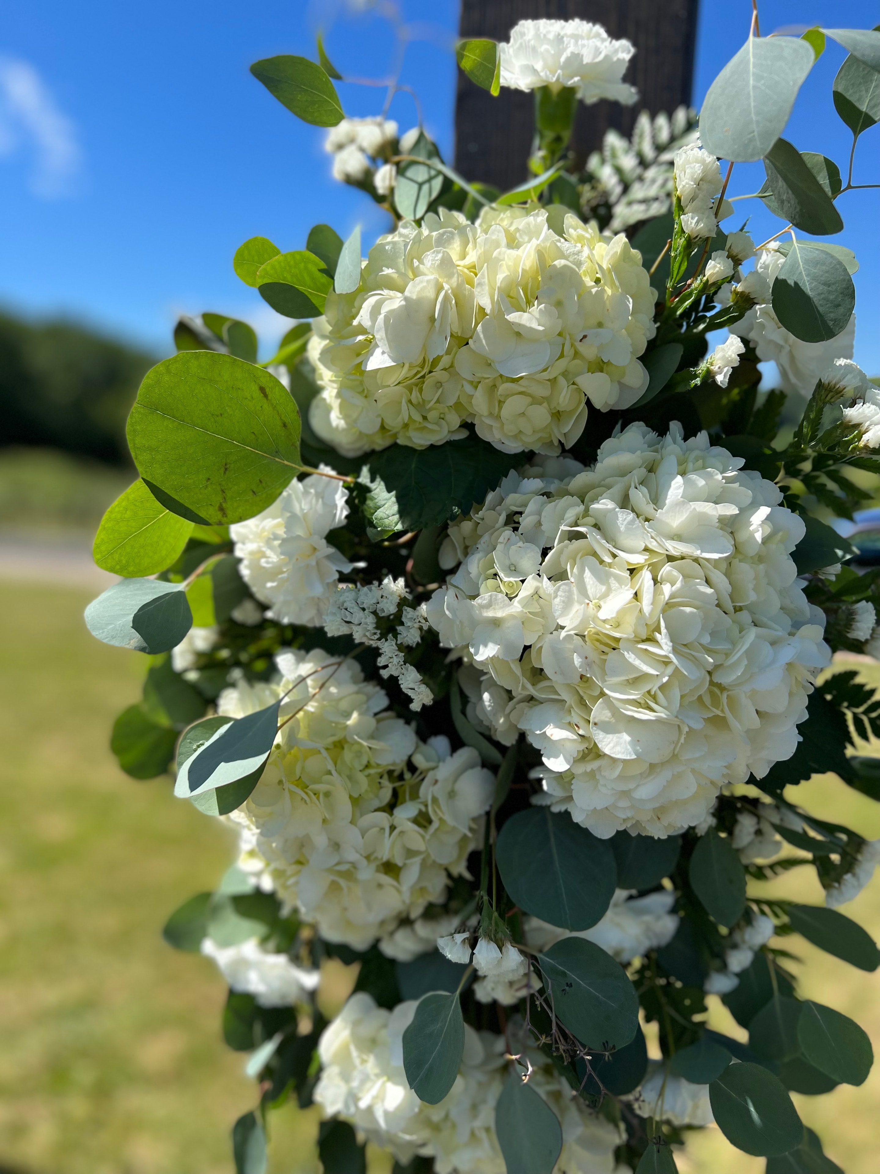 White hydrangea and eucalyptus floral arrangement on wedding ceremony arch