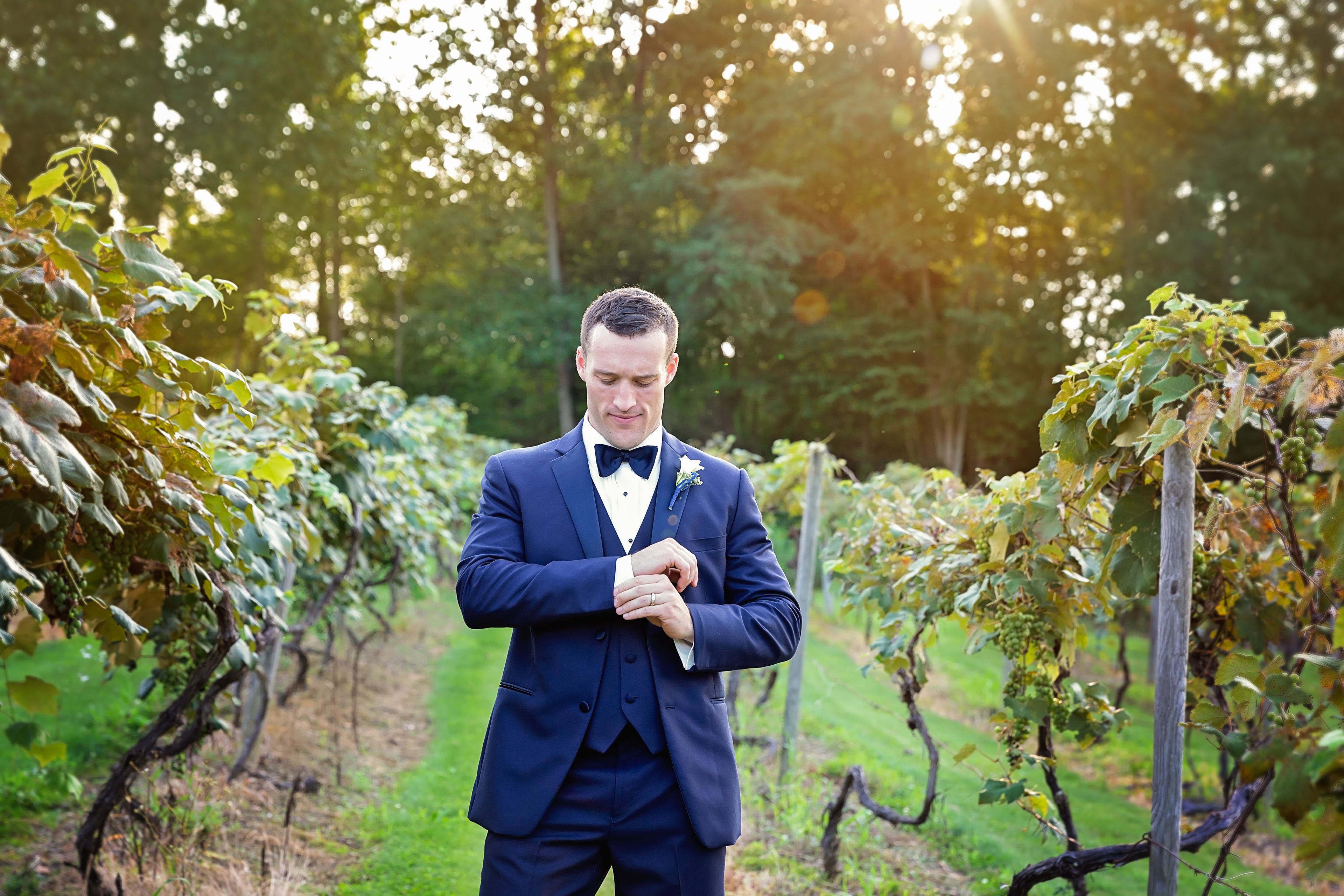 Groom in navy tuxedo standing in the Starr Hill Vineyard & Winery vineyard rows at golden hour